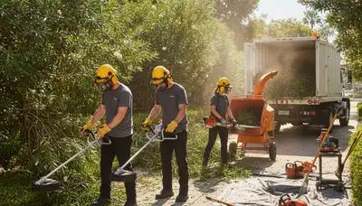Olathe, KS crew removing overgrown shrubs for clean, open yard space