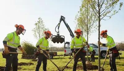 Tree planting service in Olathe, KS for healthy, long-lasting yard growth