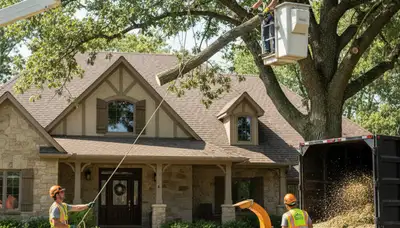 Tree service crew in Olathe, KS providing professional tree removal and trimming services
