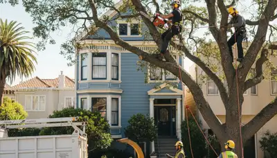Tree service crew providing professional tree removal in Olathe, KS
