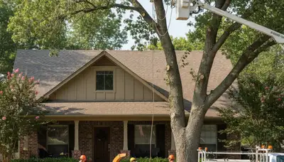 Tree service crew in Olathe, KS handling safe tree removal for a residential property